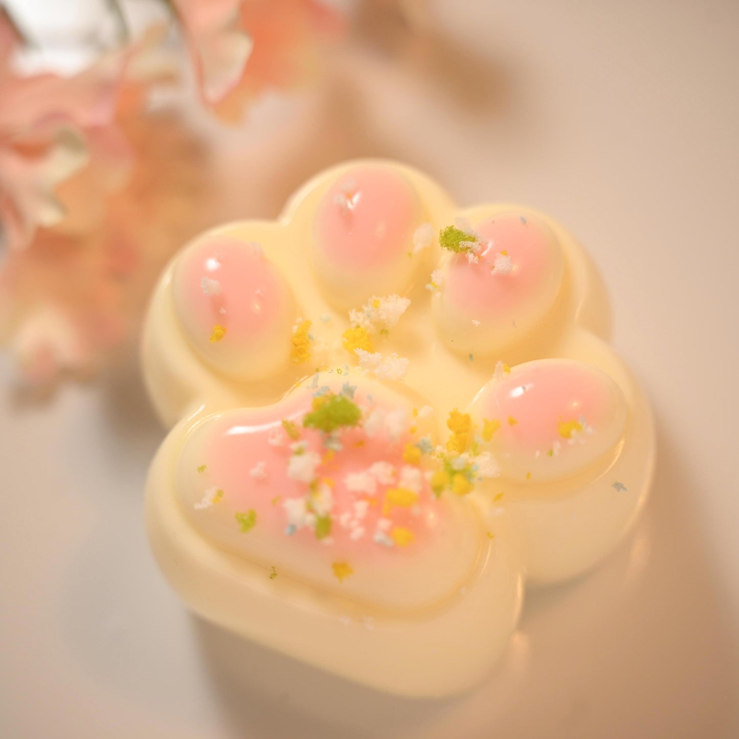 Maozhu(Adorable cat paws)