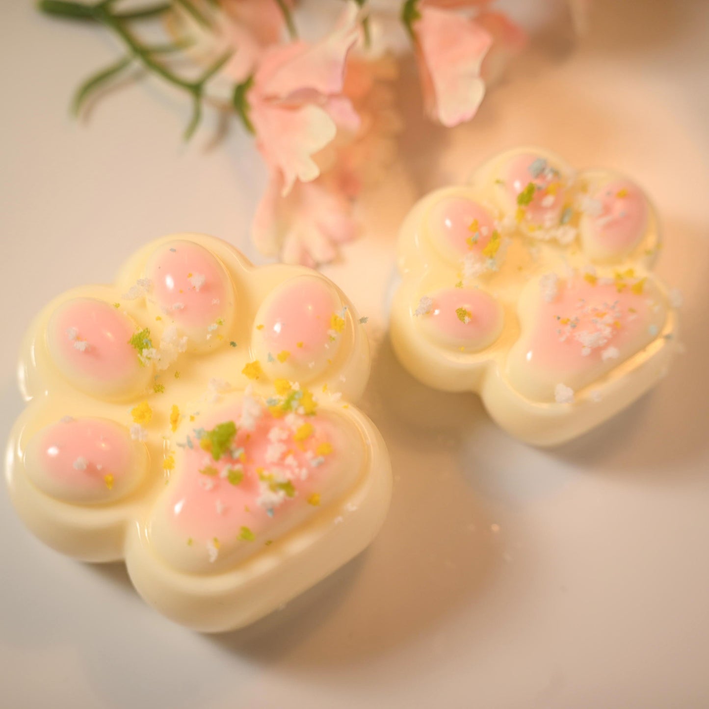 Maozhu(Adorable cat paws)